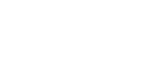 Butterflies & Amazonia